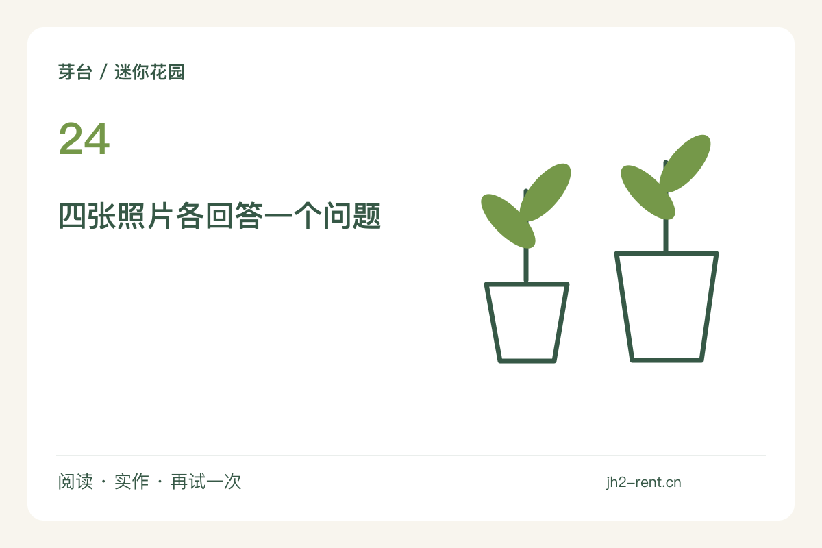 四张照片呈现同一个小花园:全景、局部、影子与使用主题图解
