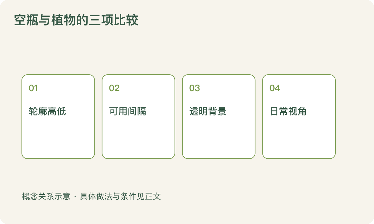 空瓶与植物的三项比较：轮廓高低；可用间隔；透明背景；日常视角