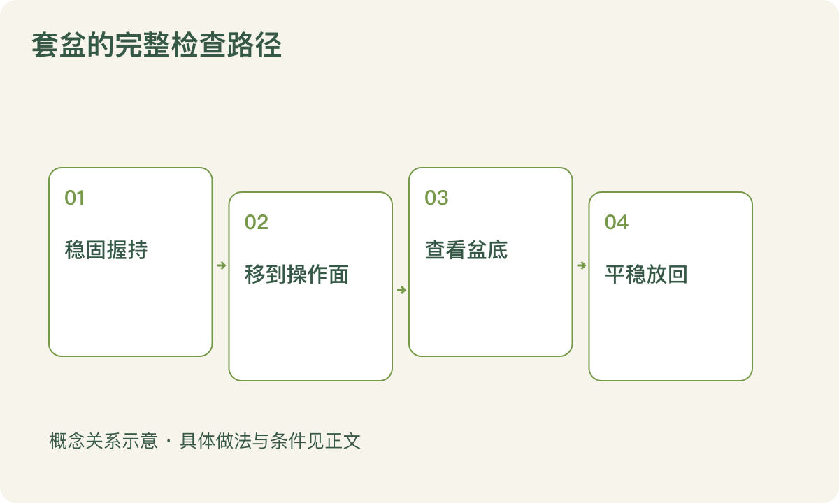 套盆的完整检查路径:稳固握持;移到操作面;查看盆底;平稳放回