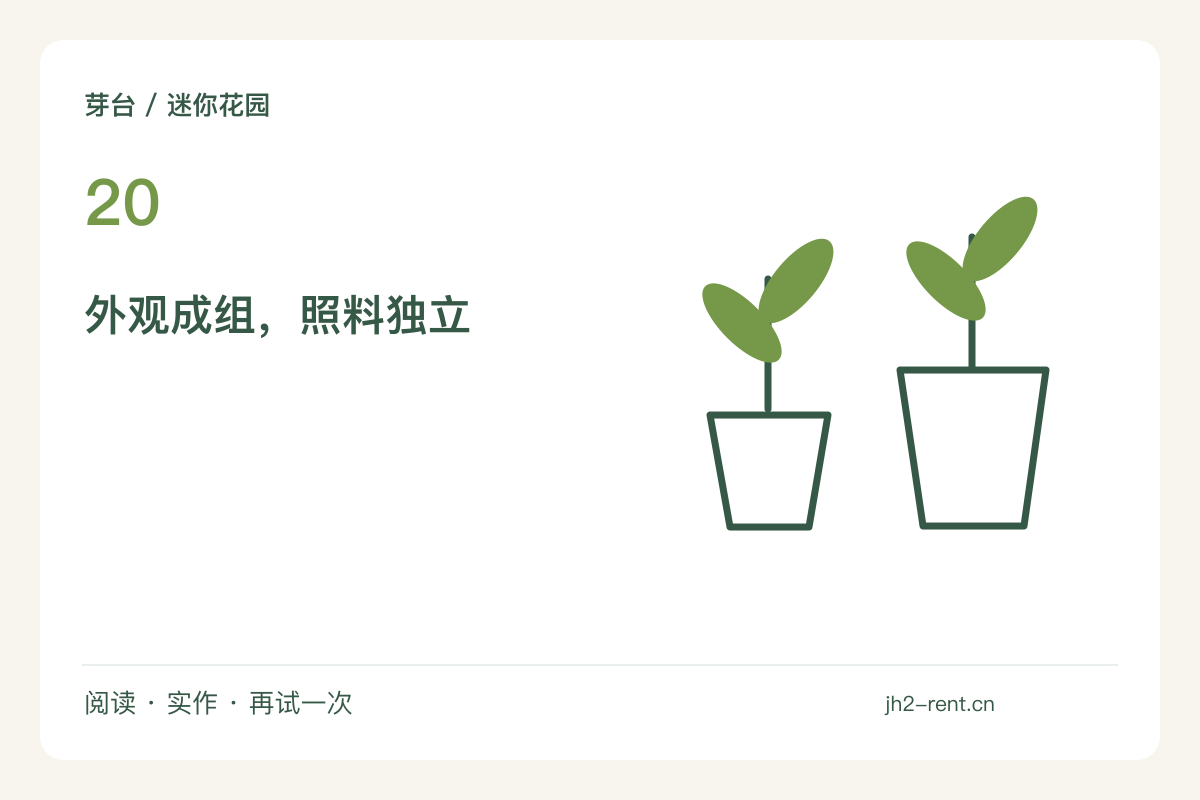 不封闭的桌面绿景,让每只植物仍能单独照料主题图解