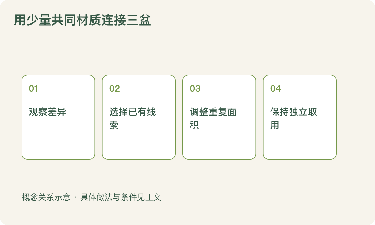 用少量共同材质连接三盆：观察差异；选择已有线索；调整重复面积；保持独立取用