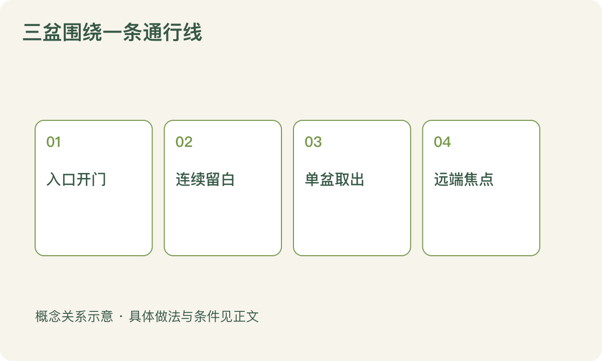 三盆围绕一条通行线：入口开门；连续留白；单盆取出；远端焦点