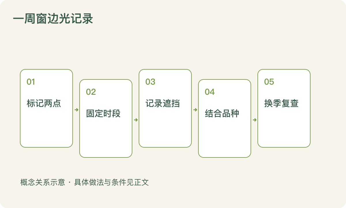 一周窗边光记录:标记两点;固定时段;记录遮挡;结合品种;换季复查